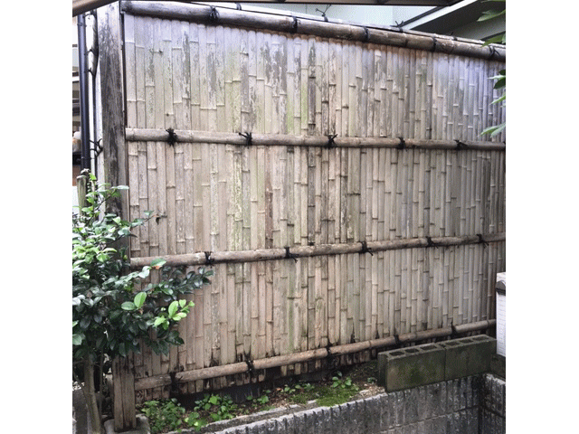 技術情報2